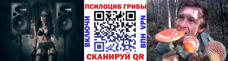 МЕГА ONION  Вяземский  Псилоцибиновые грибы Psilocybine cubensis 